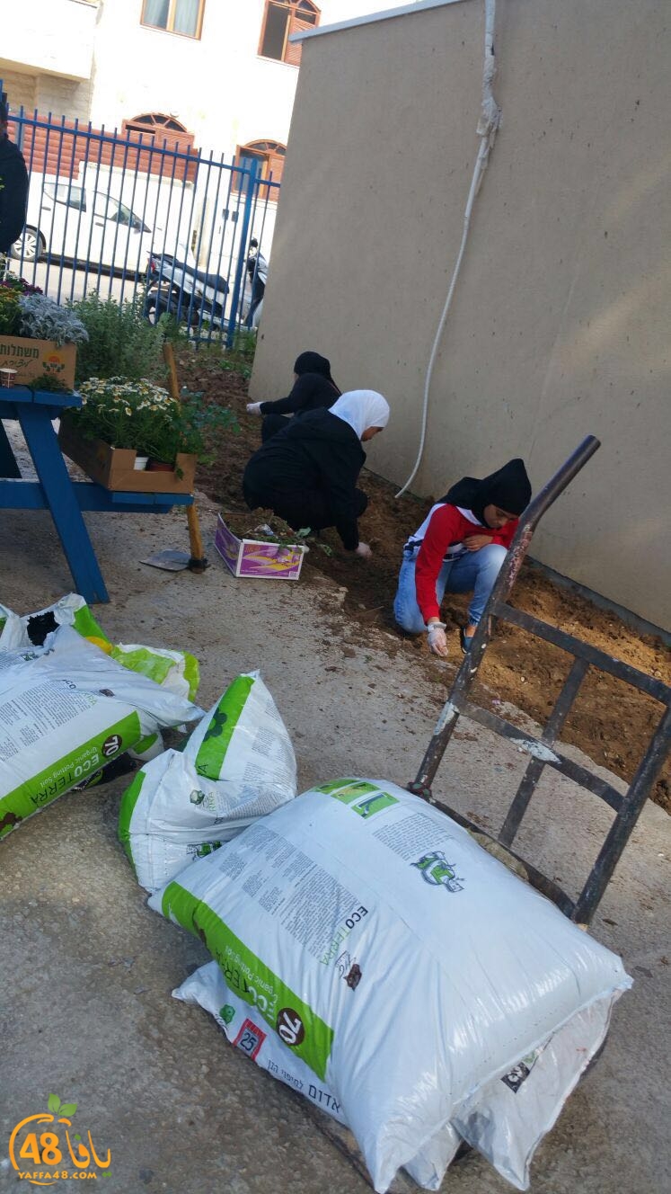 tomashin lduaj (10).jpg